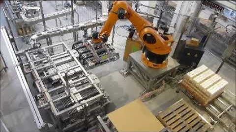 Mespic Robotic palletiser