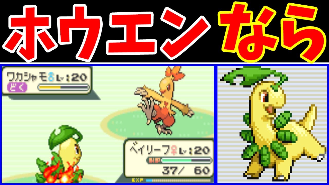 First half] Chikorita could be unrivaled on a Hoenn journey? [Slow