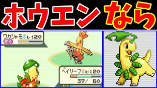 First half] Chikorita could be unrivaled on a Hoenn journey? [Slow