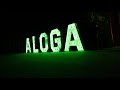Aloga auction 2023 after movie highlights