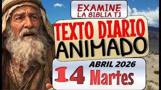 Jw Texto Diario Animado De Hoy El Juez Perfecto Examine La Biblia Tj