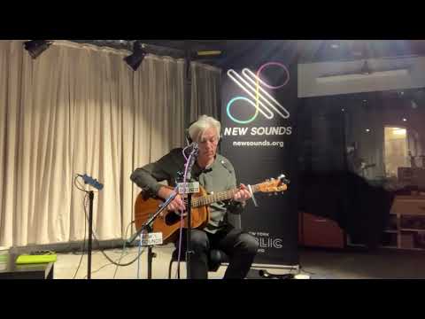 Robyn Hitchcock: 'The