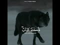 آيه من سورة يوسف سورة يوسف قرآن آيات الذئب آيه من سورة يوسف سورة يوسف قرآن آيات الذئب
