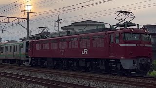 【青森入場配給】JR東海道線◆E231系S-03編成◆2023.06.07