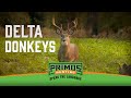 Lake Pickle Shoots A Crazy-Brow Tined Buck With His Bow - Primos Truth About Hunting Season 19