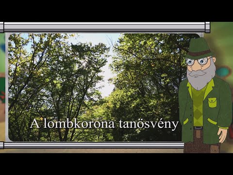 Erdő Ernő bácsi meséi - Mi az a lombkorona tanösvény?