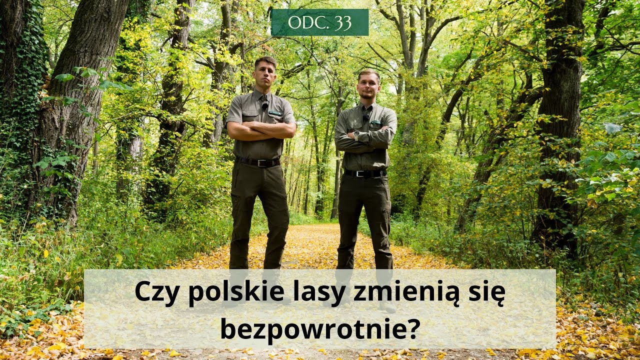 Czy polskie lasy zmienią się bezpowrotnie? #33