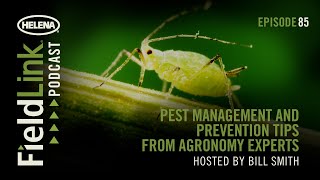 The FieldLink Podcast E85: Pest Management and Prevention Tips From Agronomy Experts