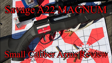 Cover Image for Savage A22 Magnum Range Review
