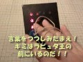 携帯可能なムスカの黒い石を作ってみた【かわいい飛行石もね】