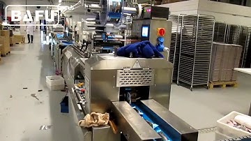 horizontal packaging machine,horizontal flow pack machine, pillow packaging machine