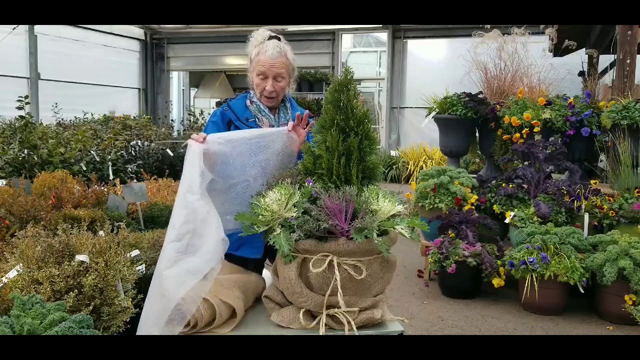 How to Insulate Container Gardens for Winter YouTube