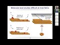 Webinar  07 prof yogesh surendranath massachusetts institute of technology usa