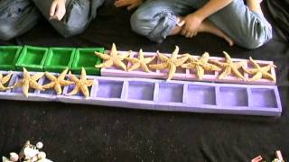 Skateboard Math,Montessori, K-12, Homeschool, online kid's mathematics tutorial video