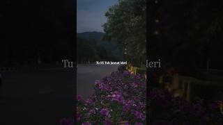 Tu Hi Toh Jannat Meri  Tu Hi Mera Sukoon shorts love short viral