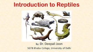 Introduction to Reptiles