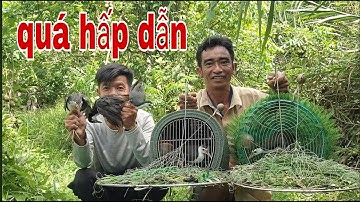 Lên Lai Vung Gác Quốc , Xác Lập Kỷ Lục Mới Trúng Mánh # SĂN BẮT ĐỒNG THÁP #