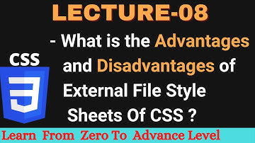 What Is The Advantage And Disadvantage Of External File Style Sheets Of CSS | CSS | Hindustani Tutor