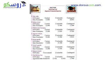 English 3 AM / sequence 4 / I listen and do : Tasks 16 and 17 / page 117