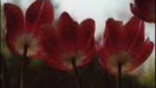 Dona Dona- Joan Baez