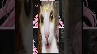 Мощька конфликт с Иши в Майнкрафт #vtuber #втубер #fyp #recomendation #vtuberclips #Мощька