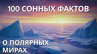 видео: Ночь, Которая Никогда Не Кончается: Тайны Полярных Миров | Наука для Сна картинка: Ночь, Которая Никогда Не Кончается: Тайны Полярных Миров | Наука для Сна