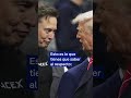 Elon Musk desafía a Donald Trump y crea el "Partido América" en Estados Unidos.