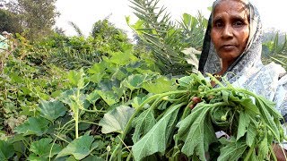 Village Food - Healthy Lau Shak Recipe By Grandmother Cooking Natural Gourd Spinach