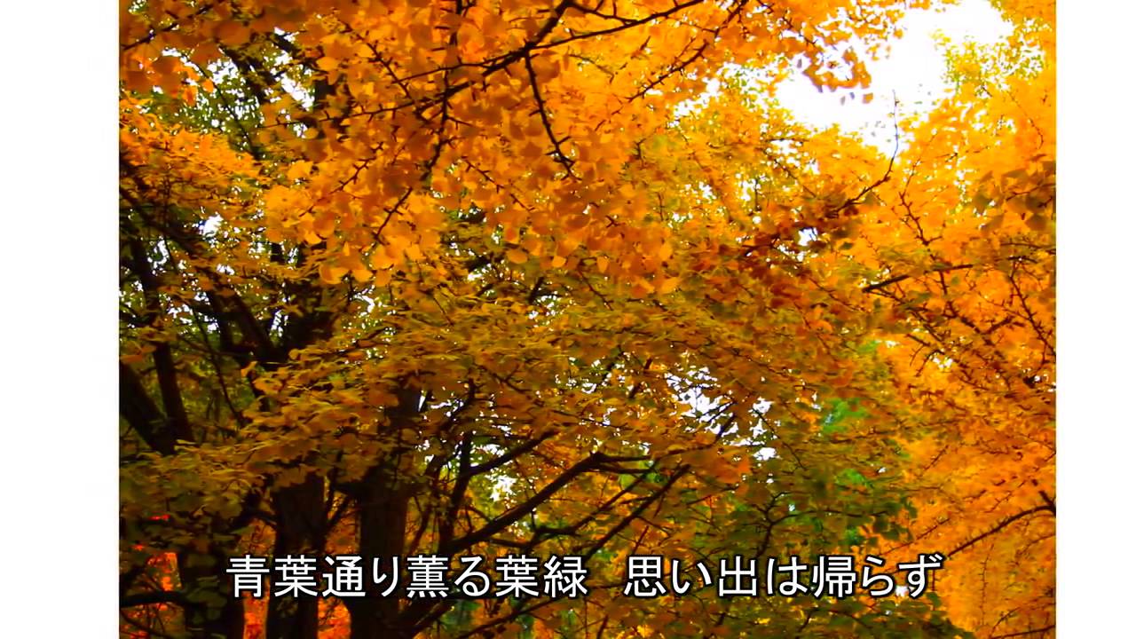 青葉城恋唄 さとう宗幸 青葉城恋唄 さとう 宗幸 KING RECORDS OFFICIAL SITE
