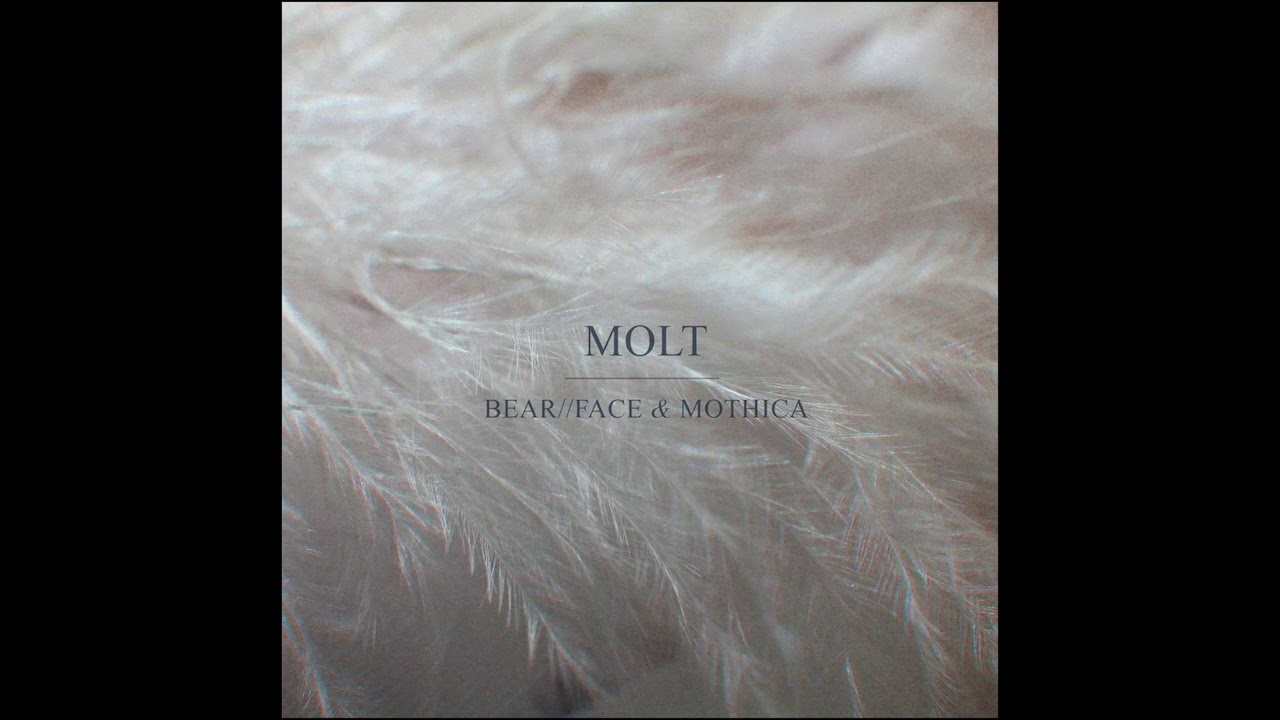 Watch Mothica & Bearface - Molt (Official Audio) on YouTube Watch Mothica & Bearface - Molt (Official Audio) on YouTube