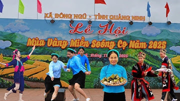 DEMO Mùa Vàng Miền Sóong Cọ 2025 | Sóong Cọ Đợi Anh | THÁI VITV