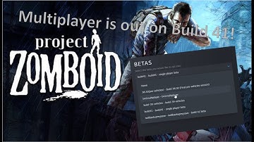 How do you play multiplayer on Project Zomboid build 41