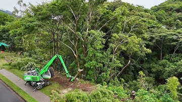 Mechanical vegetation clearing using our Sennebogen 718E Tree Handler #ETS