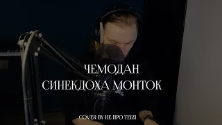 Синекдоха Монток - Чемодан (cover) // не про тебя