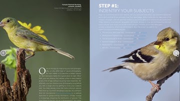 Fixed page layout epub conversion for magazines – MAP Systems