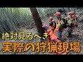 【これを見れば分かる】猟犬を使った猟銃での実際のイノシシの狩猟、有害鳥獣駆除の現場。