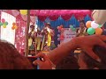 N.m.p collage sardhapali jogimal video