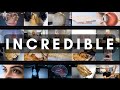 Incredible Human Body Facts and Functions