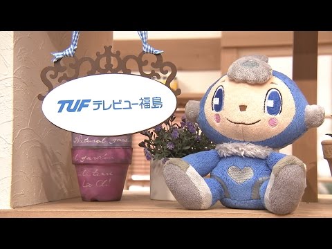 What kind of company is TV-U Fukushima?