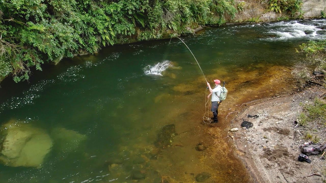 You won't Believe How Good This River is. Big Trout Everywhere! pt. 2