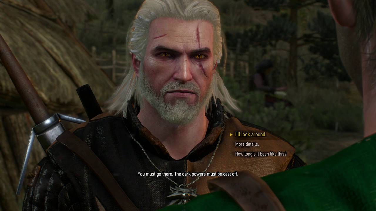 The Witcher 3 Wild Hunt Part 22, Hard Werewolf Fight