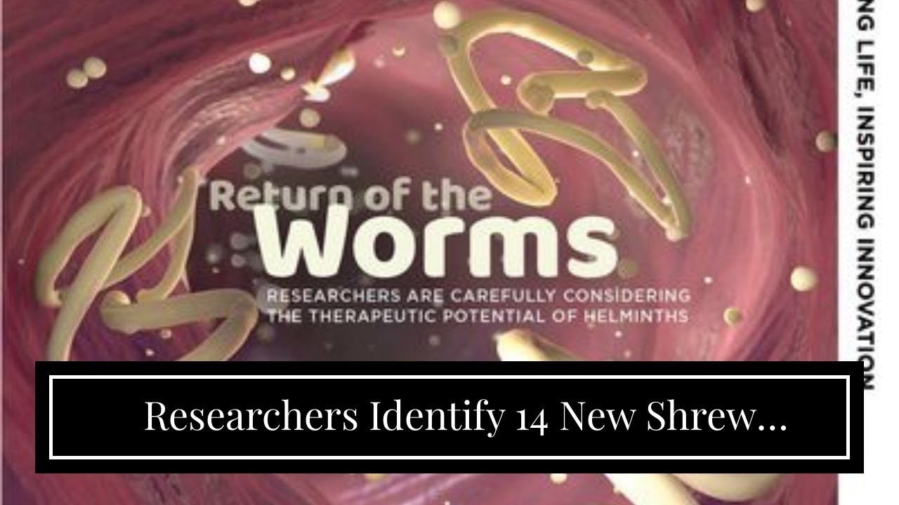 Researchers Identify 14 New Shrew Species