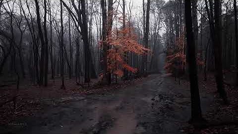 تلاوة ماتيسر من سوة المؤمنون || للقارئ : أنس المالك 🌱