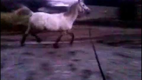 video-2012-01-13-16-32-16.mp4