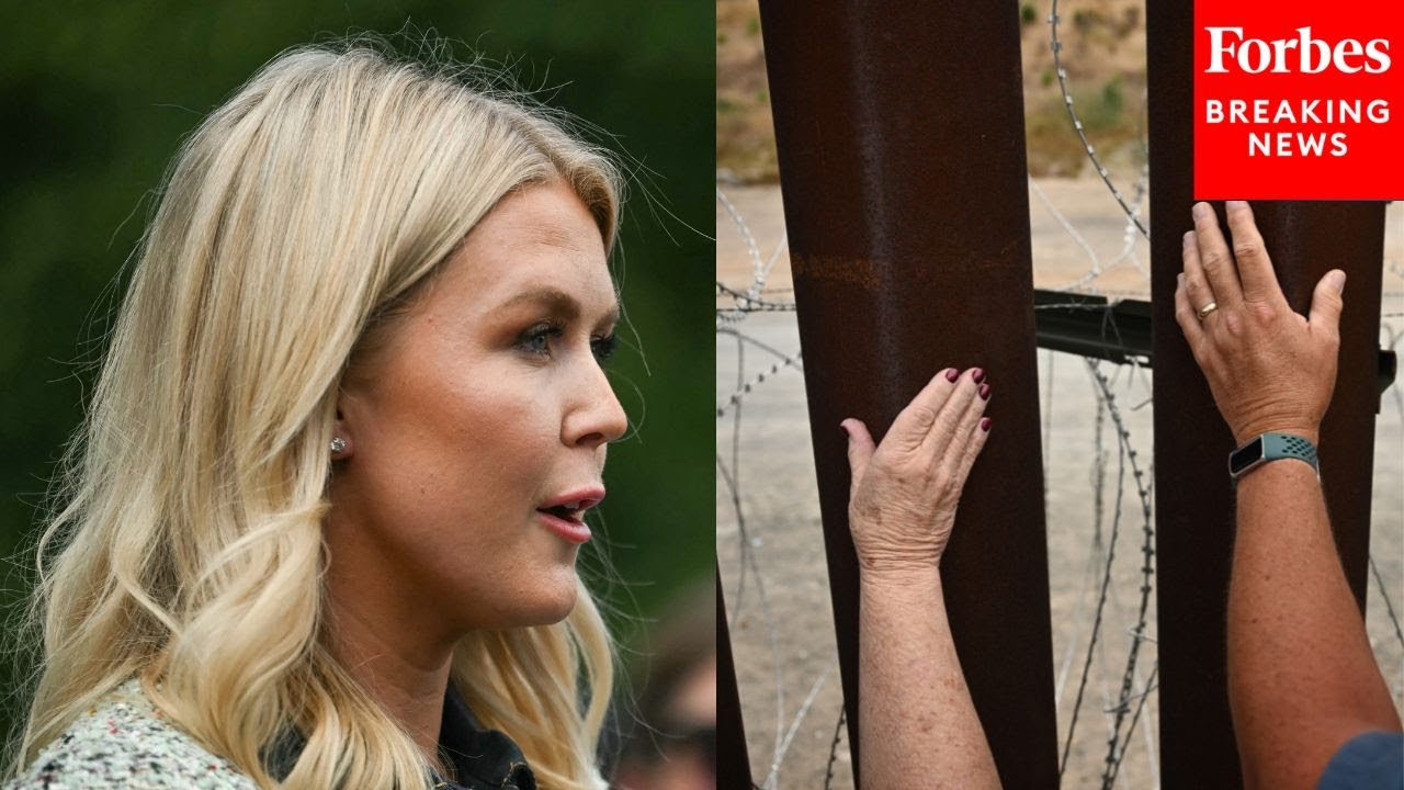 Karoline Leavitt Doubles Down That Deporting 'Illegal Alien Criminals' Is Priority Of Trump Admin.