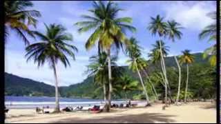 Video voorbeeld van "Mitternacht in Trinidad (Die Flippers)"