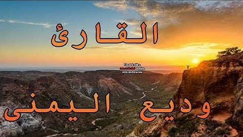 سورة النبأ للقارئ|وديع اليمنى