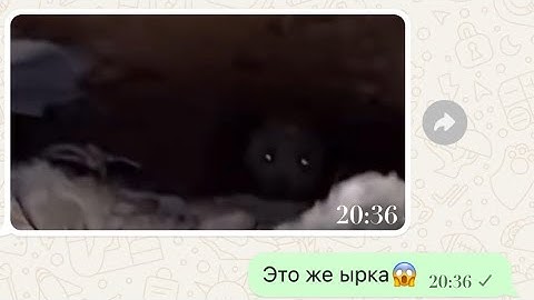 Страшная переписка 😱