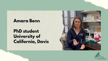 Exploring PIG-PARADIGM with Amara Benn