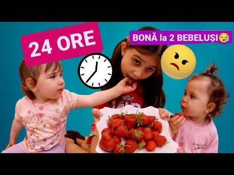 ⏰24 ORE sunt